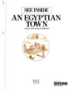 See_inside_an_Egyptian_town