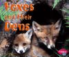 Foxes_and_their_dens